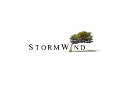 Stormwind logo
