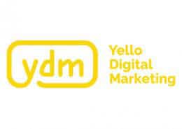 ydm logo