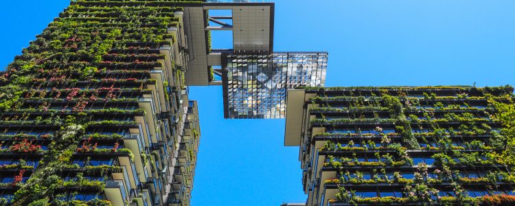 skyscraper building in sydney austrailia